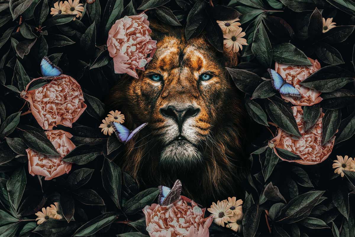 Artistic Lab Artistic Lab