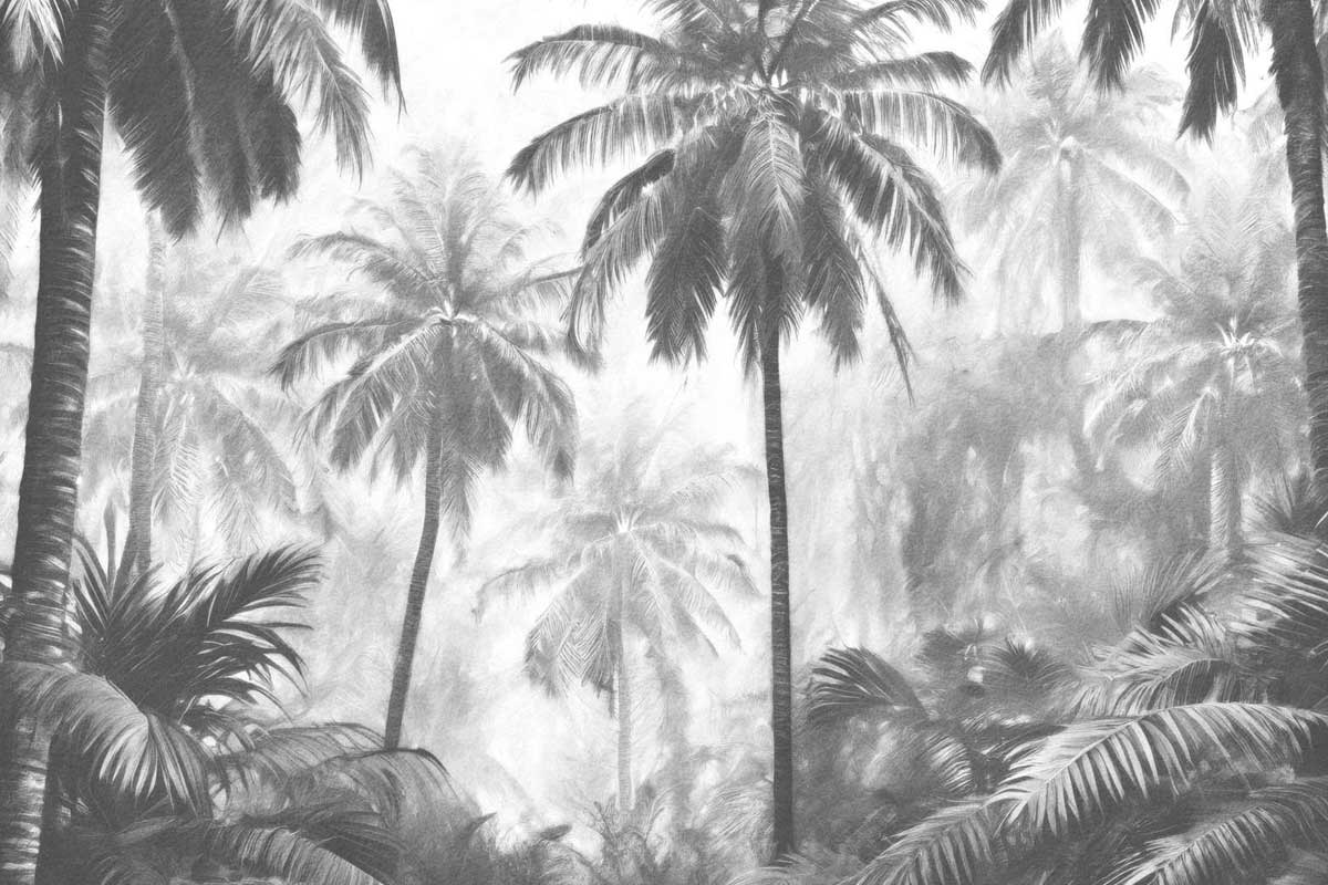 Jungle Secrets Jungle Secrets