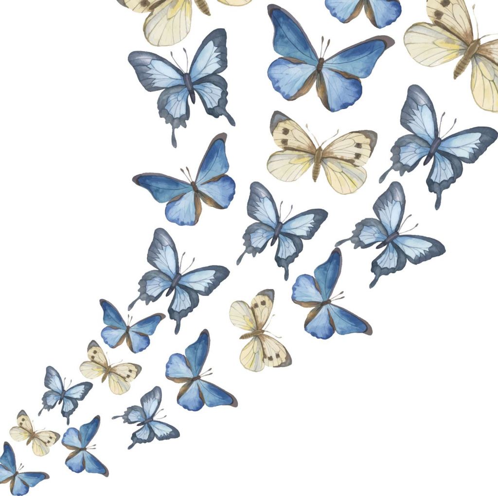 Aquarel van vlinders met een witte achtergrond