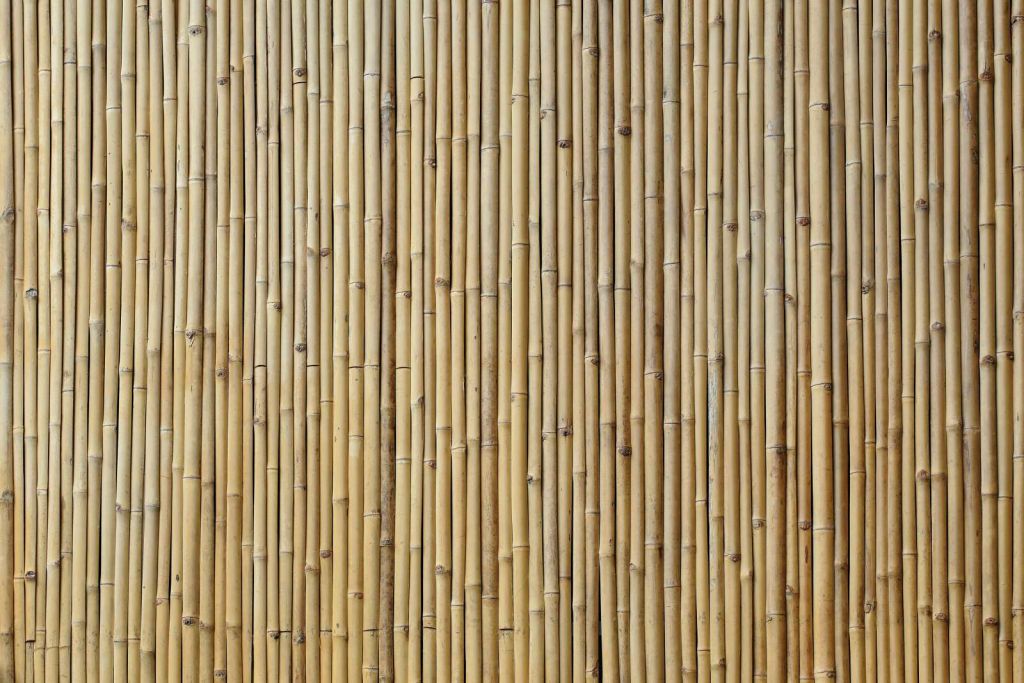Bamboe muur