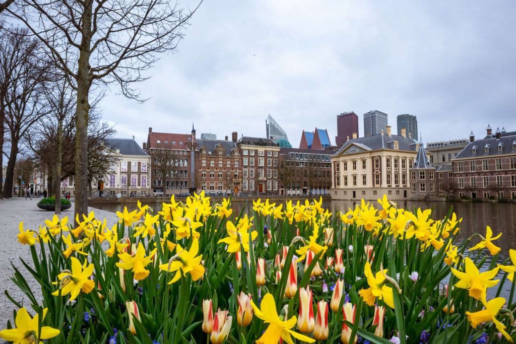Den Haag met bloemen op de voorgrond