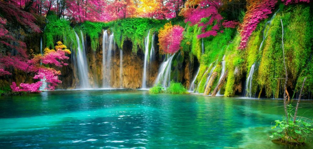 Exotische waterval met kleurrijke bloemen