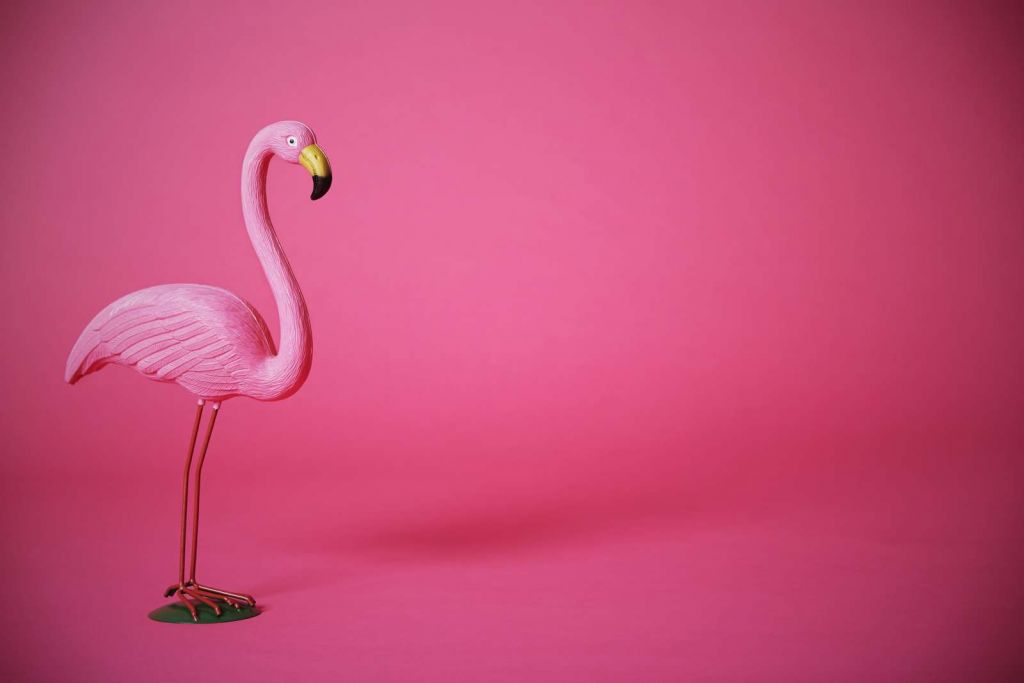 Flamingo van kunstof met een roze achtergrond