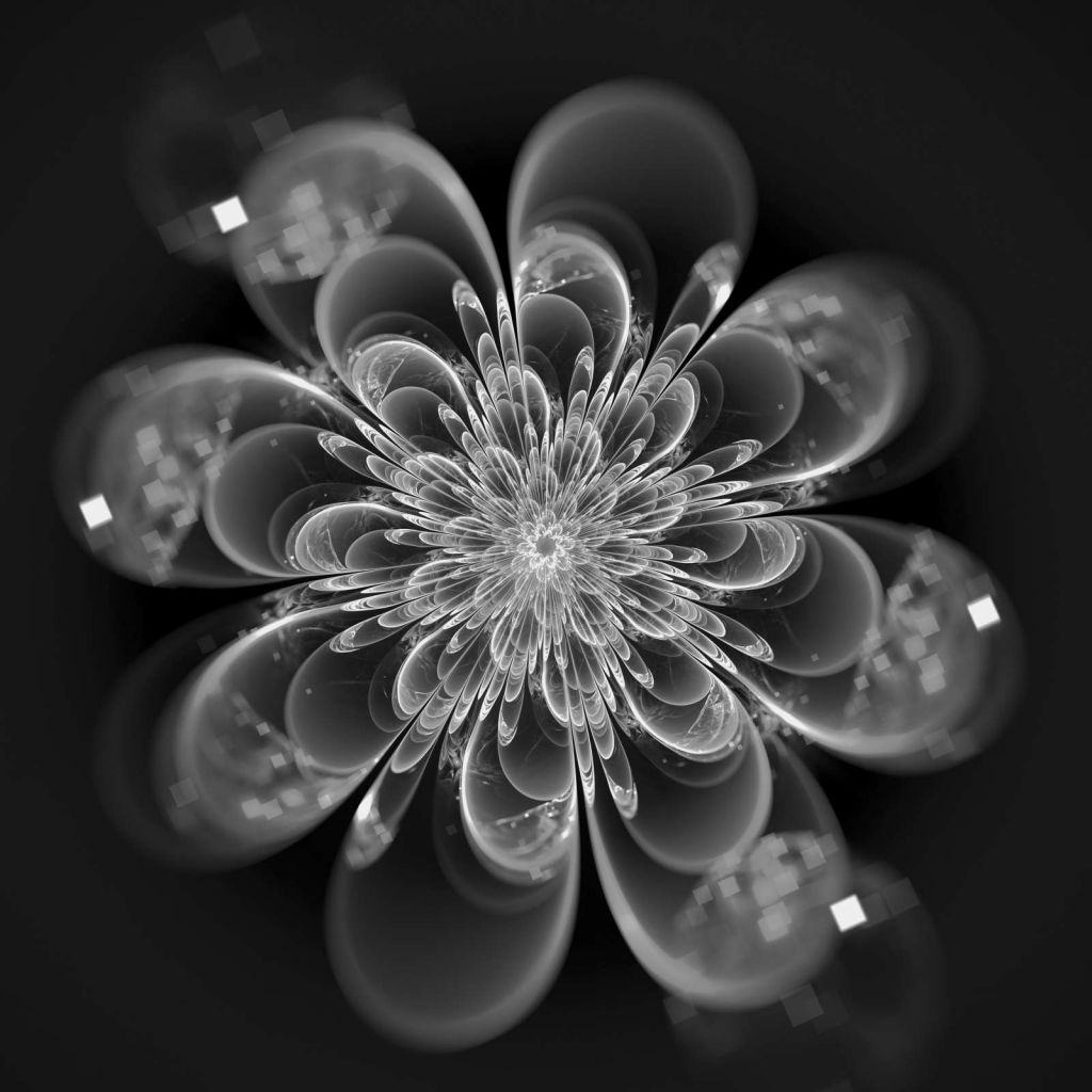 Fractal bloem in zwart-wit