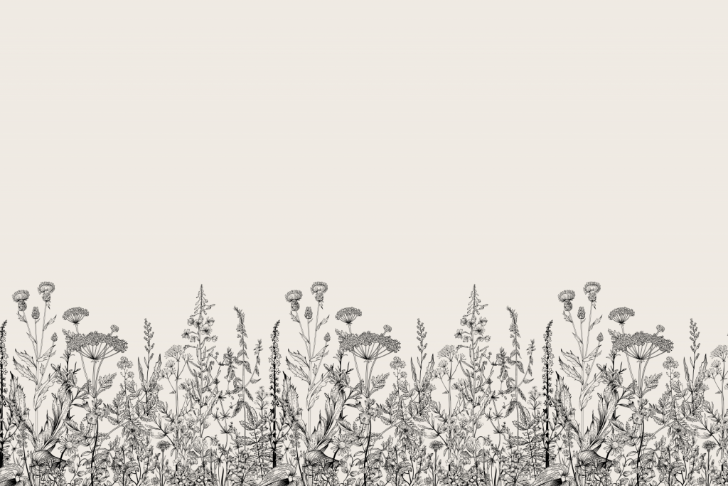 Getekende hoge grassen