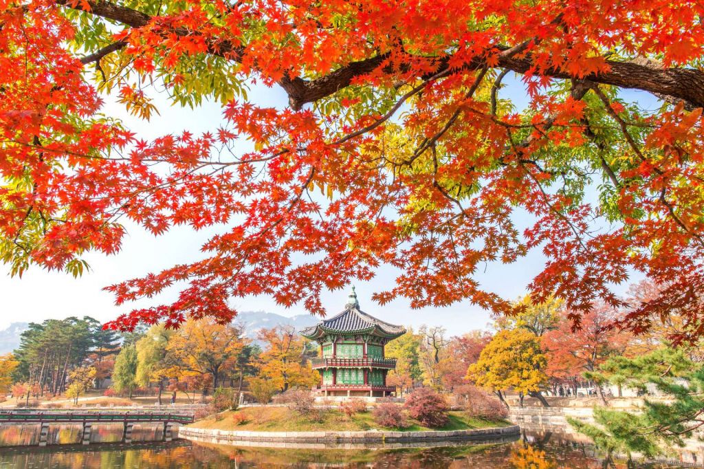 Gyeongbukgung Palace in de herfst