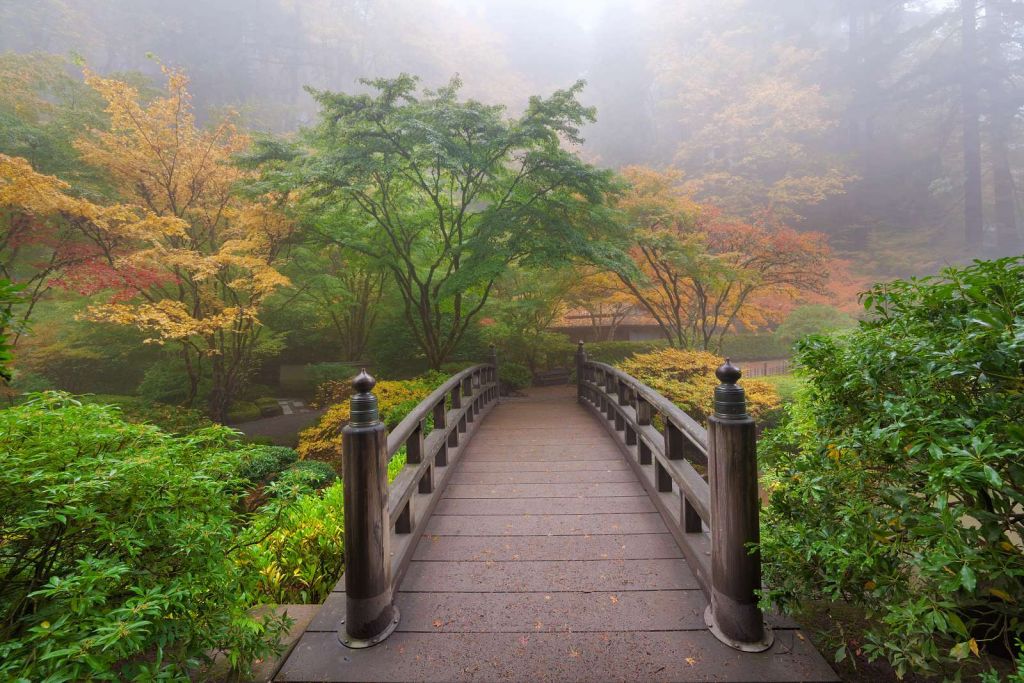 Houten brug in een Japanse tuin