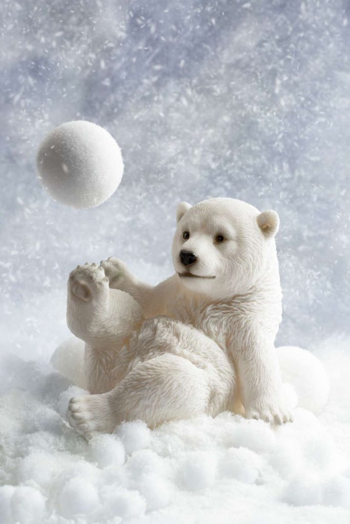 Een ijsbeer speelt met een sneeuwbal