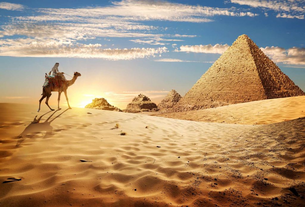 Kameel in de woestijn bij zonsondergang