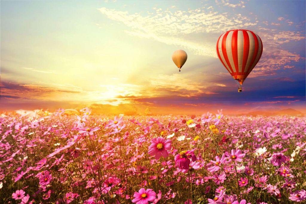 Luchtballonnen boven een bloemenveld