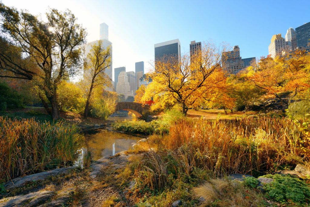 Manhattan Central Park in de herfst