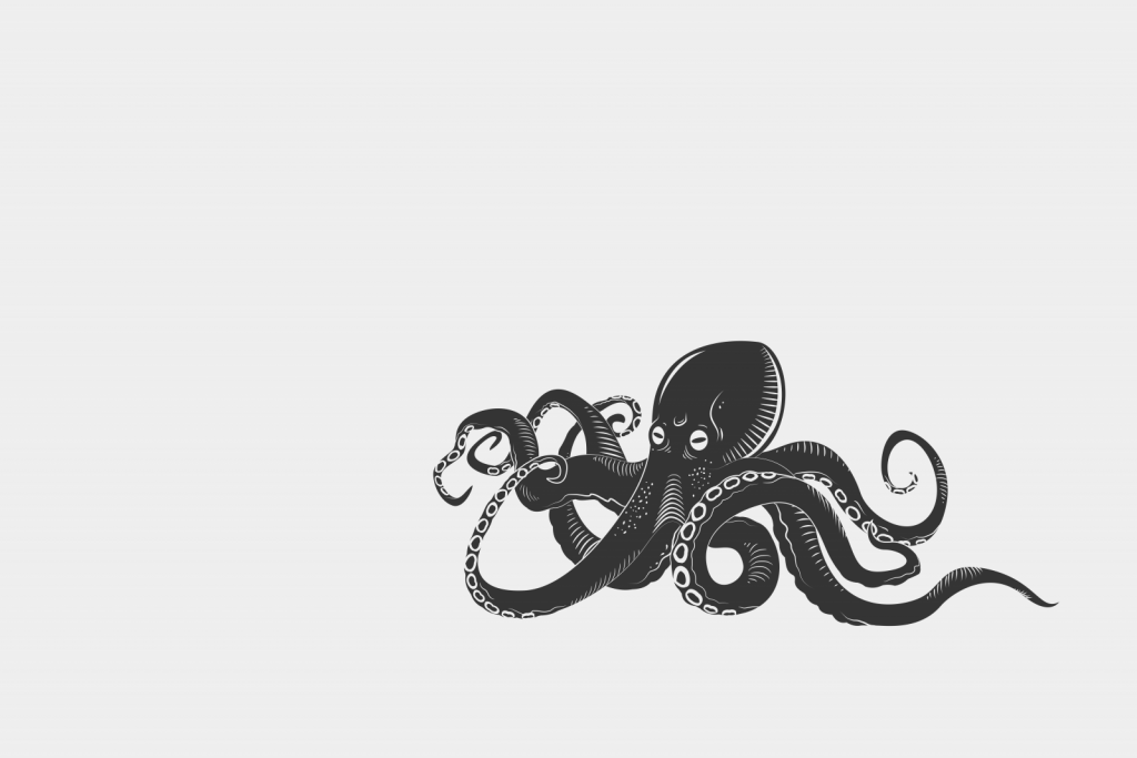 Octopus met een witte achtergrond