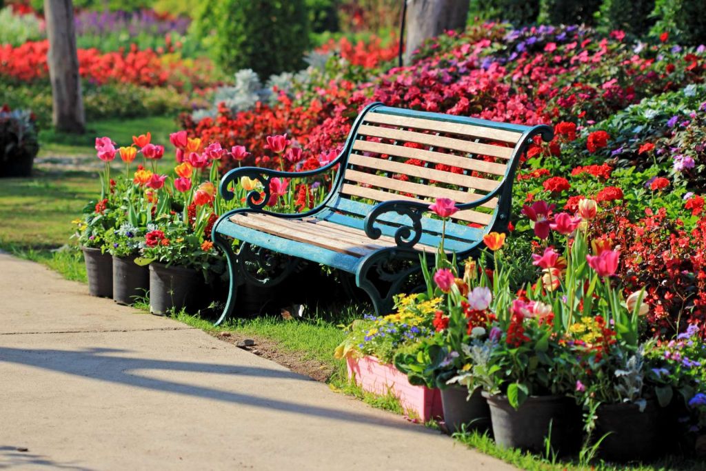 Park met kleurrijke tulpen