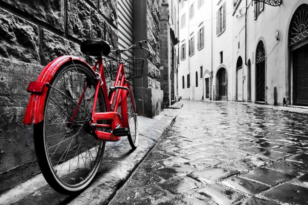 Rode fiets in een zwart-witte straat