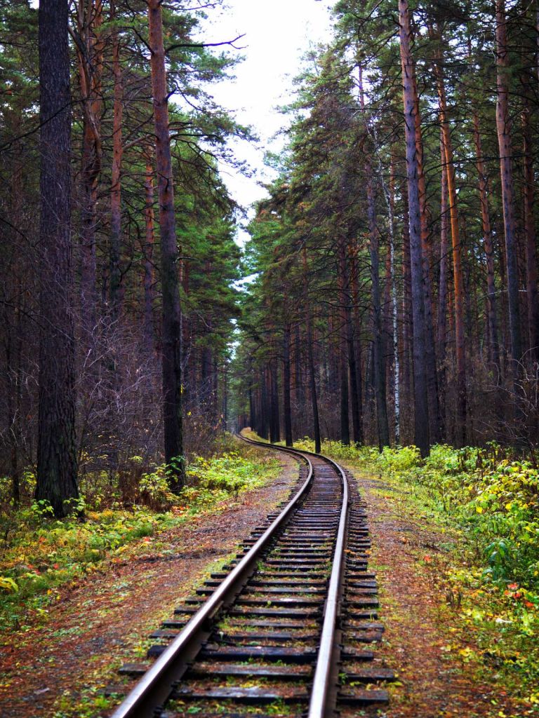 Spoorlijn door een bos