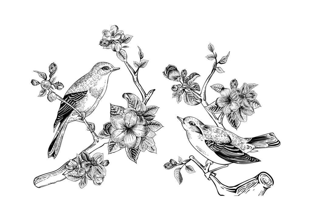 Tekening van vogels op een tak met appelbloesems
