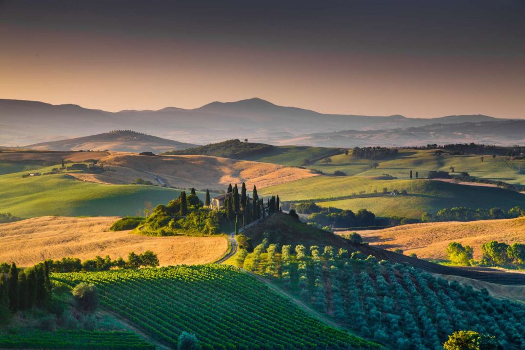 Toscaans landschap met wijngaarden