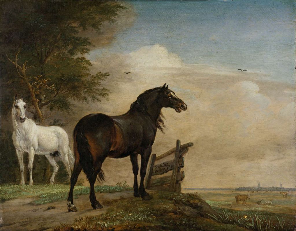 Twee paarden in de weide bij een hek