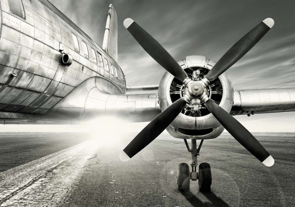 Vintage vliegtuig in zwart-wit