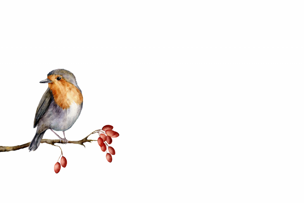 Vogeltje op een takje met een witte achtergrond