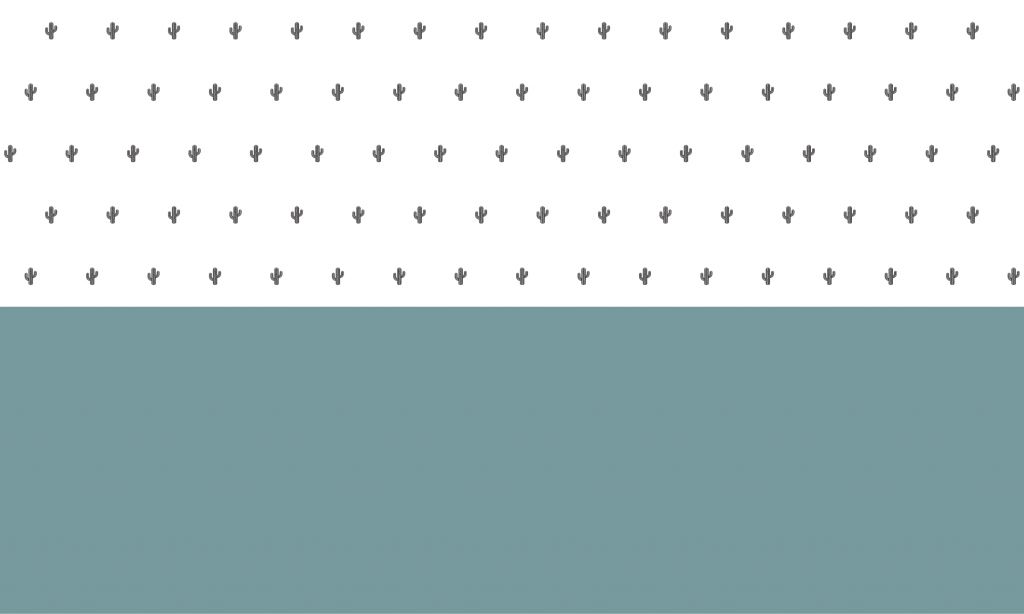 Vlakken en cactussen