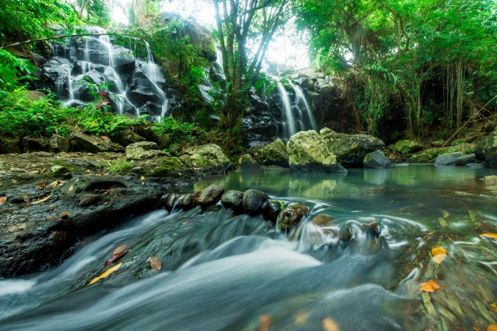 Waterval door een tropisch regenwoud