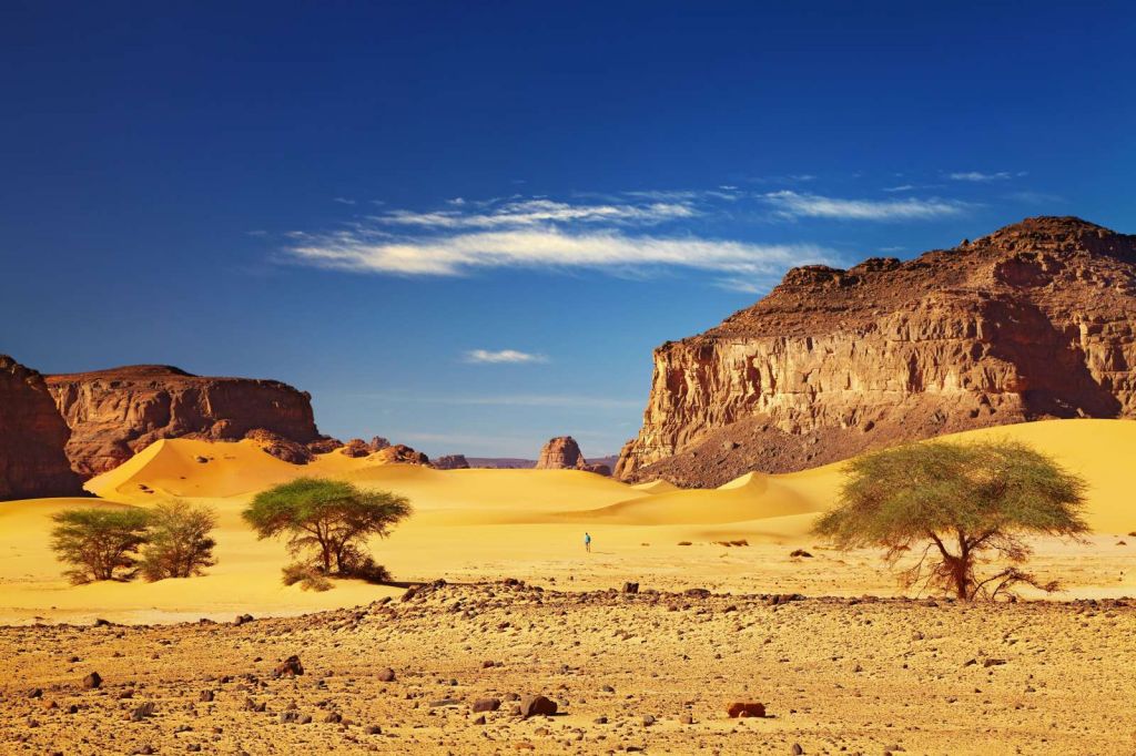 Woestijnlandschap met duinen en rotsen
