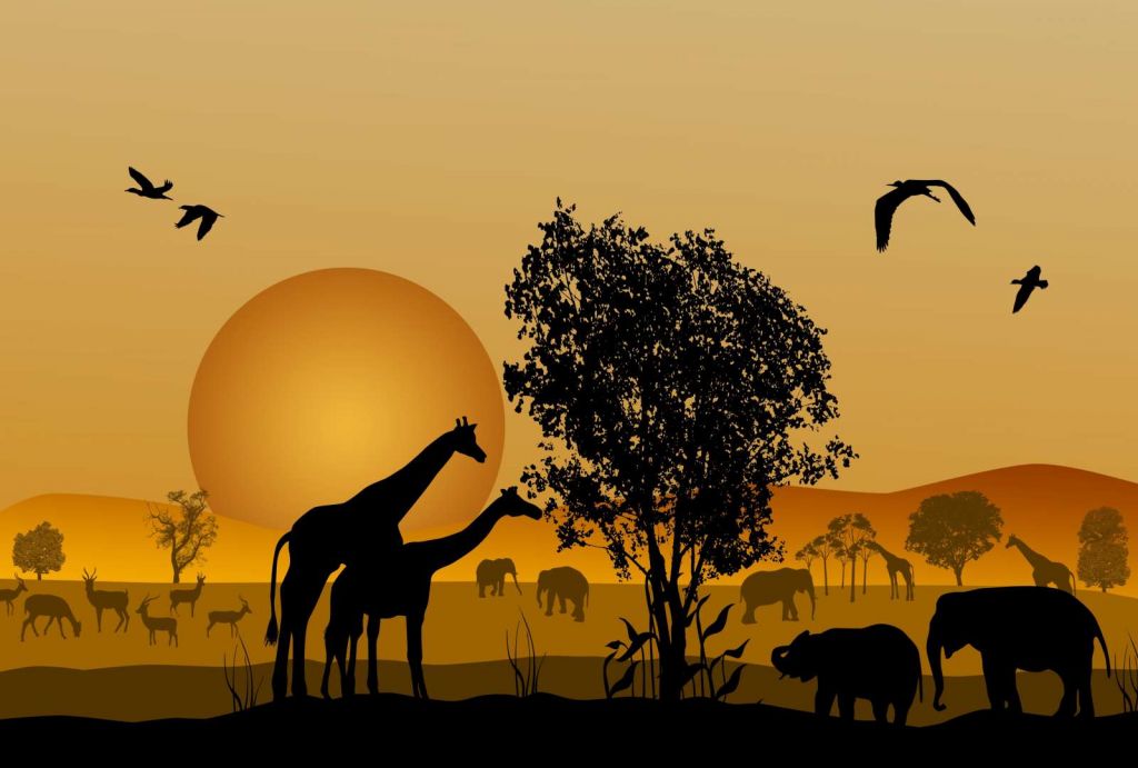 Zonsondergang in een Afrikaans veld