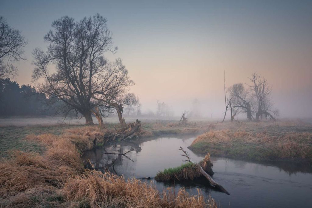 Natuurgebied in de vroege ochtend