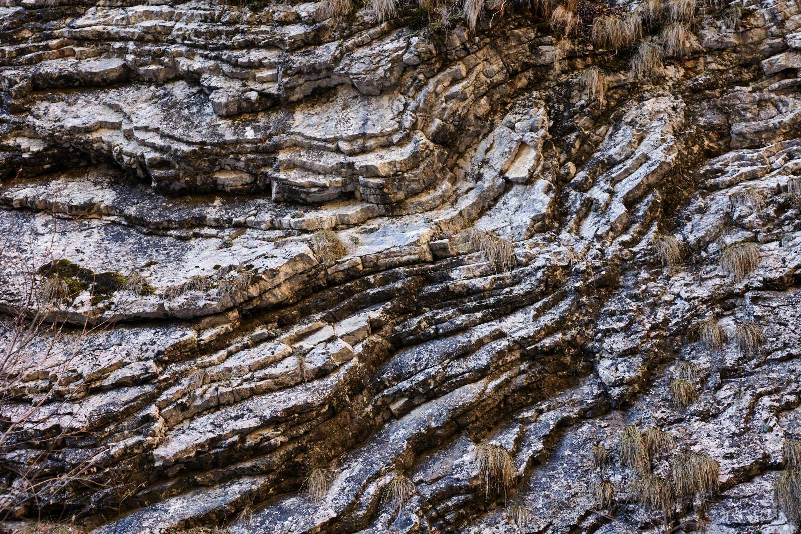 Close-up kalkstenen rots