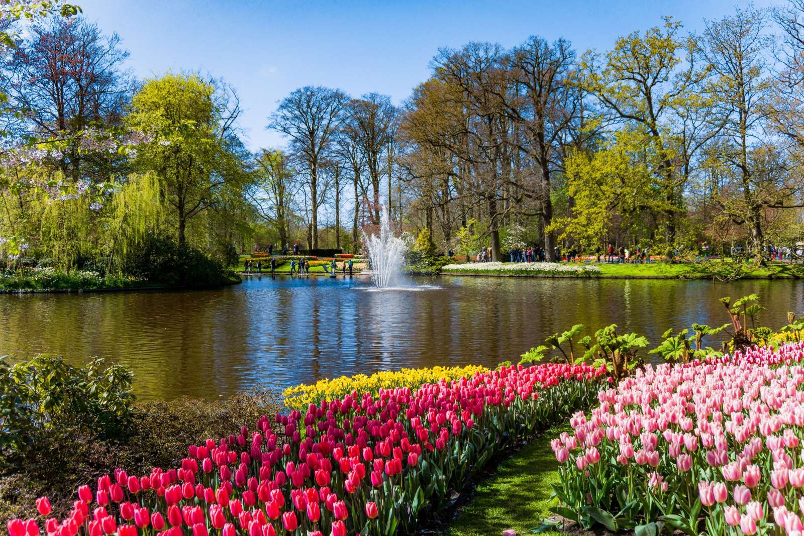 Het Keukenhof park met tulpen