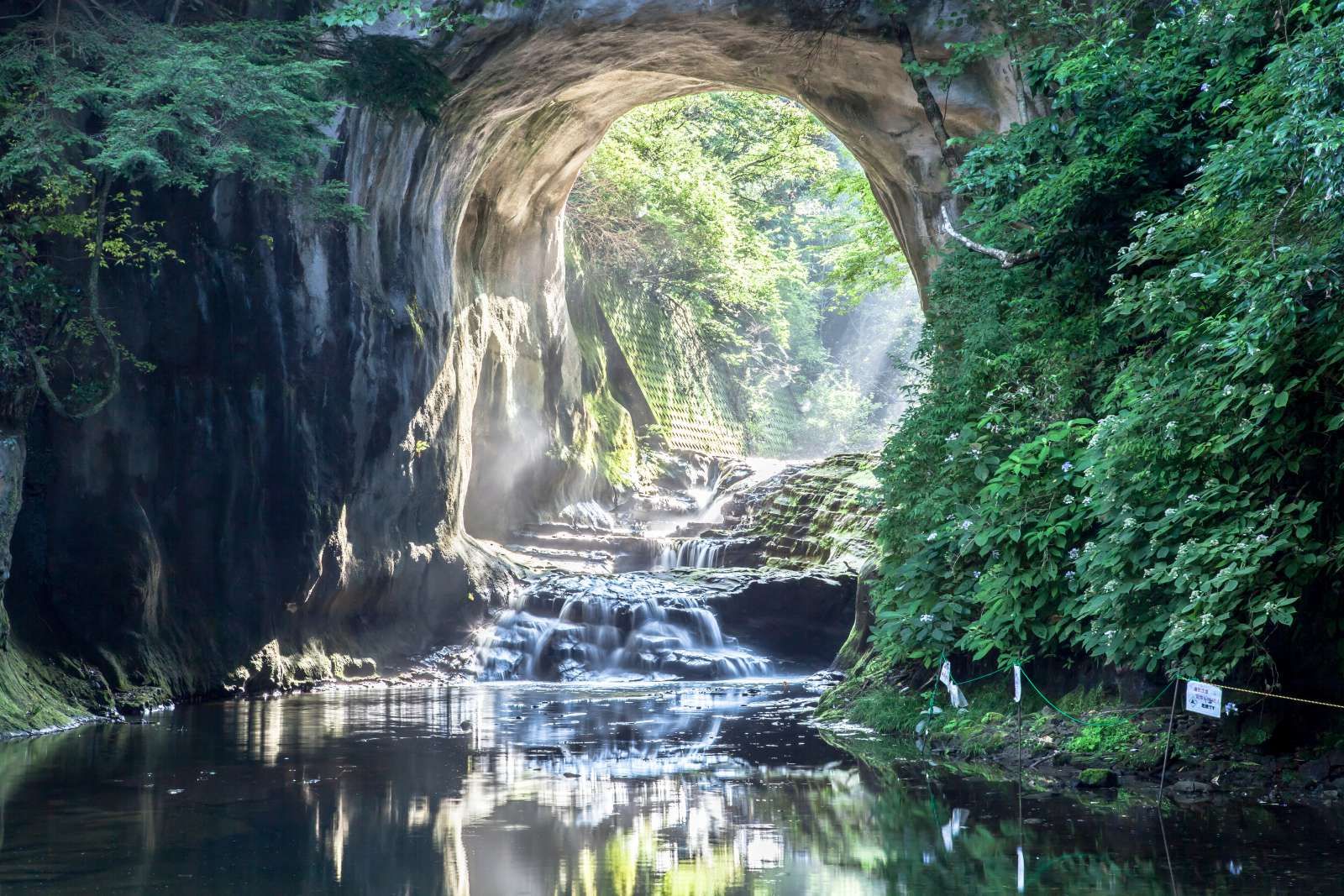 Opening in een regenwoud