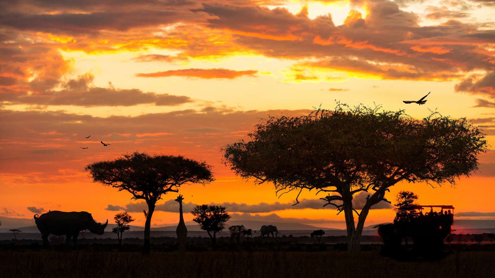 Concurreren Buitensporig vergeten Safari in Afrika bij zonsondergang fotobehang - Fotobehang.nl