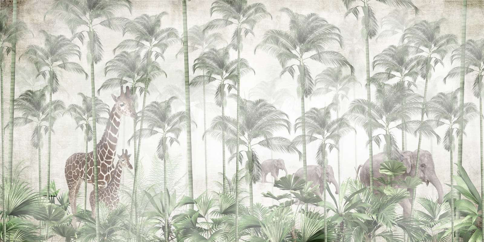 Ochtendstond in de Wildernis