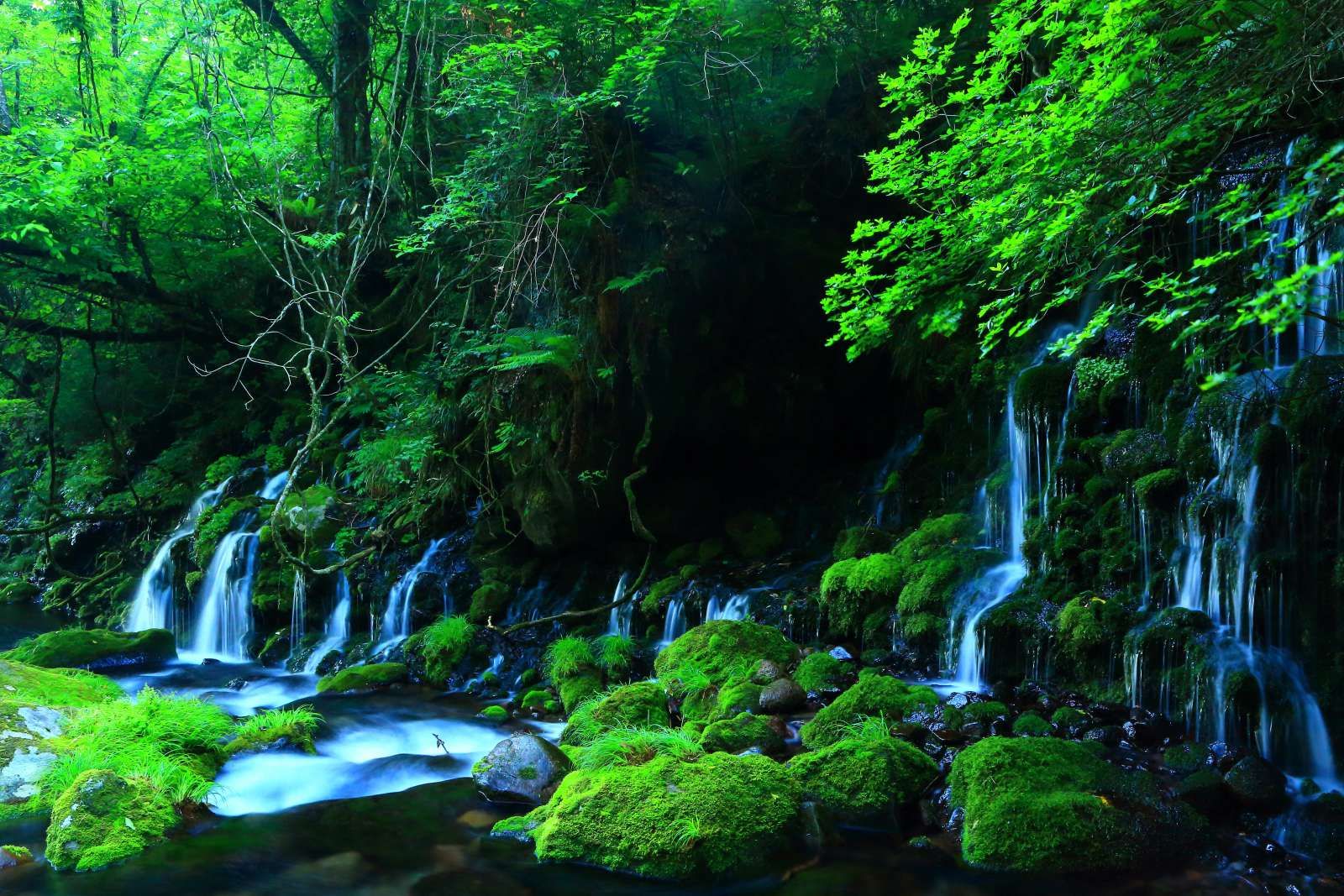 Watervallen in de jungle