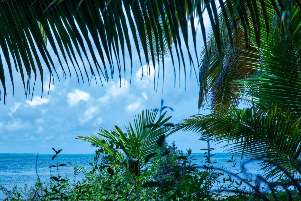 Zee vanuit de jungle